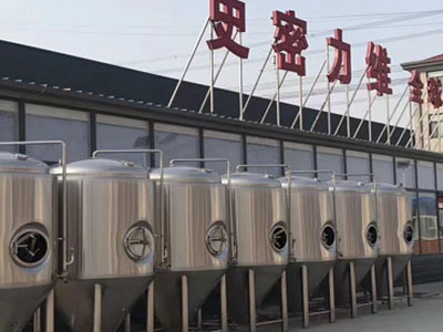 雨山精酿啤酒设备厂—如何判断精酿啤酒设备的密封件需要更换？